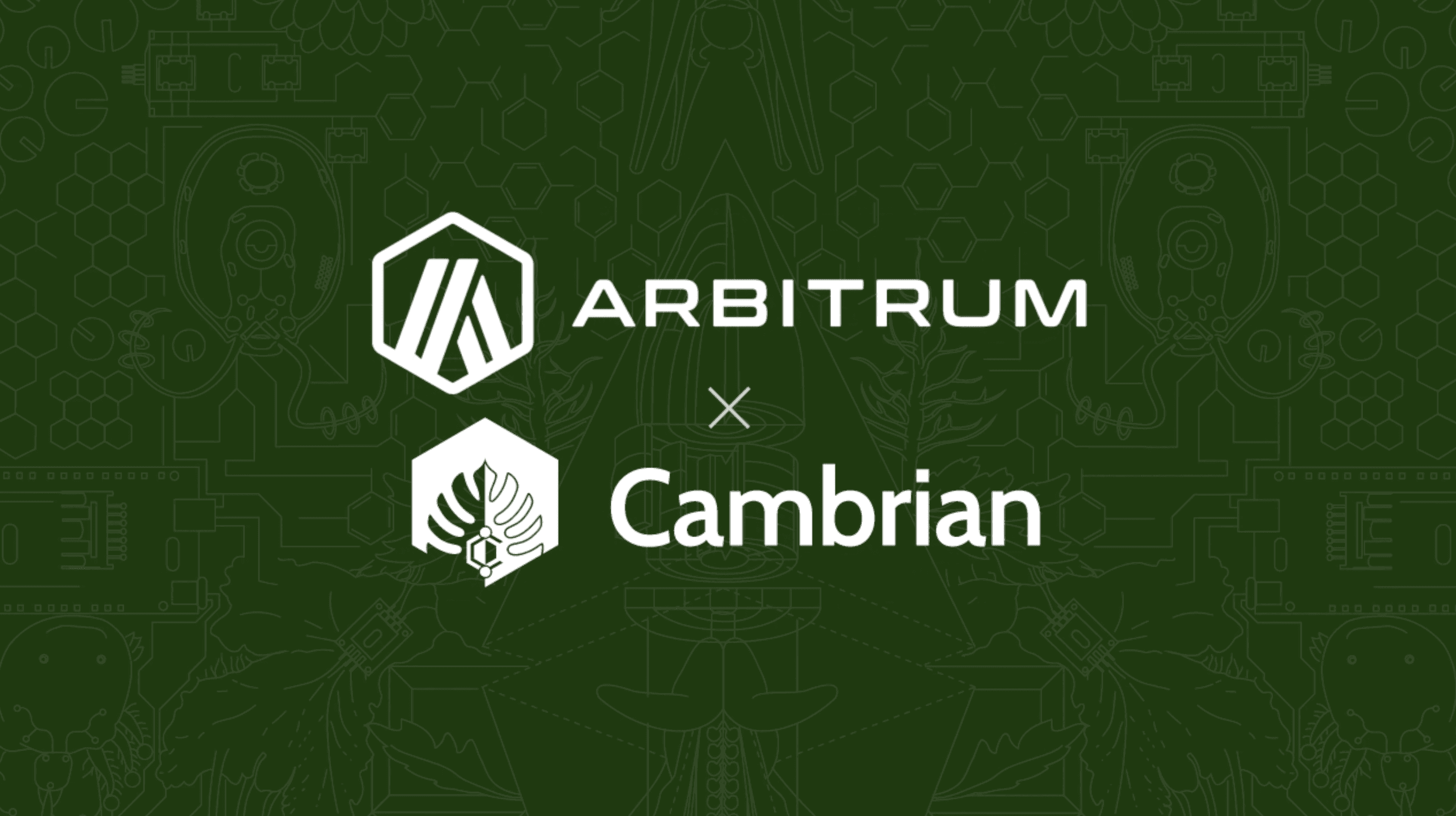 Featured image for Cambrian Now Supports Arbitrum
